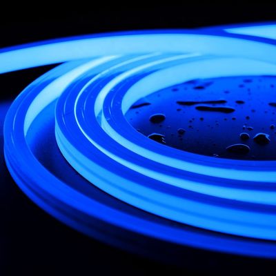 las tiras ligeras de neón direccionables 24V impermeabilizan las luces de tira llevadas Ip68 para la decoración al aire libre
