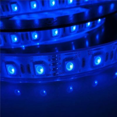 El 17W/M 5050 piscina impermeable llevada del vatiaje 12v 24V IP68 llevaron luces de tira