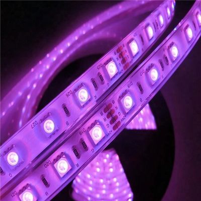 El 17W/M 5050 piscina impermeable llevada del vatiaje 12v 24V IP68 llevaron luces de tira