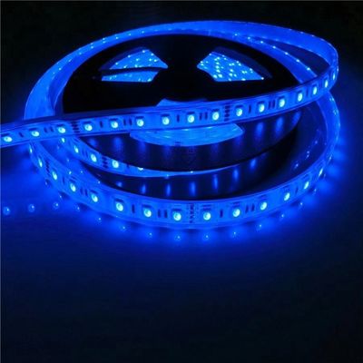 El 17W/M 5050 piscina impermeable llevada del vatiaje 12v 24V IP68 llevaron luces de tira