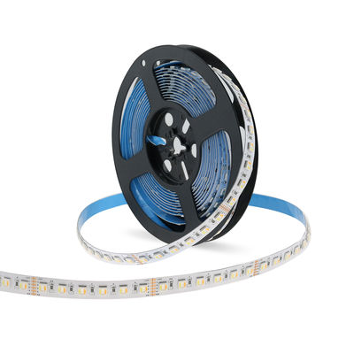 Rgbww 5 en 1 Smd 5050 Rgb llevó Rgb Cct 120 Led/M direccionables 12v 24v