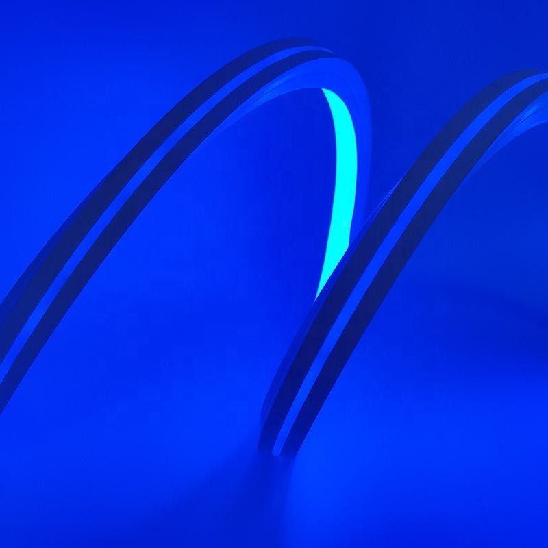 El silicón direccionable 12v dobla los 5m que el sueño ligero de neón de la tira colorea el RGB las palabras de 16 X de 16M M DIY