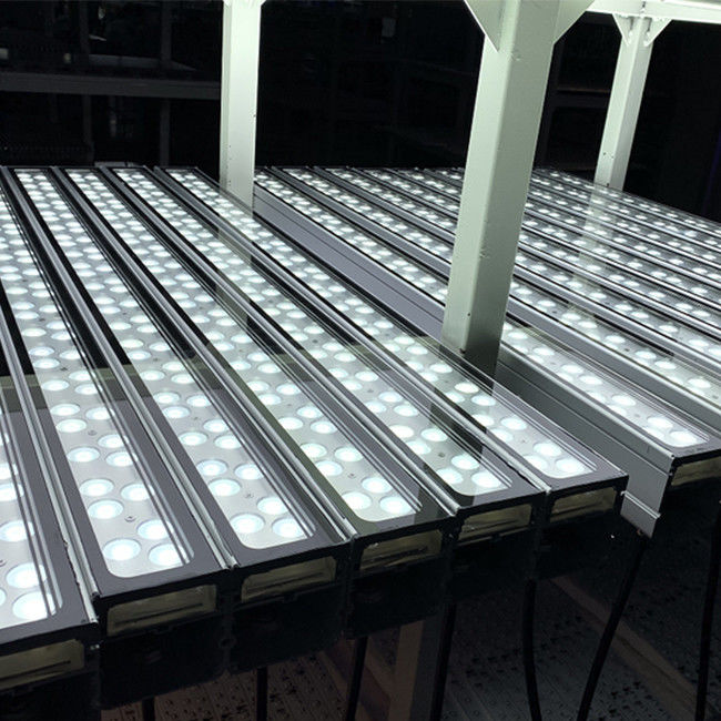 luz de la fachada LED del color de la luz de la lavadora de la pared de 108W IP65 LED sola